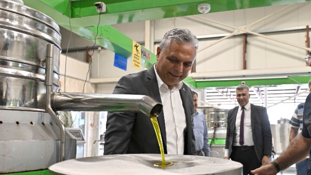 ‘Zeytin rekoltemiz artmalı’