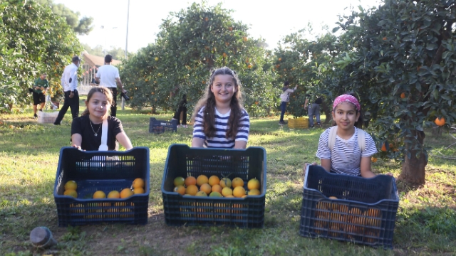 Vatandaşa portakal jesti