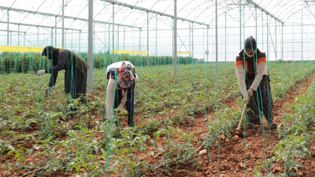 ‘Çiftçi için olağanüstü destek programı açıklayın’