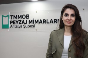 ‘Görsel değil, işlevsel olmalı’