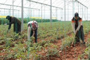 ‘Çiftçi için olağanüstü destek programı açıklayın’