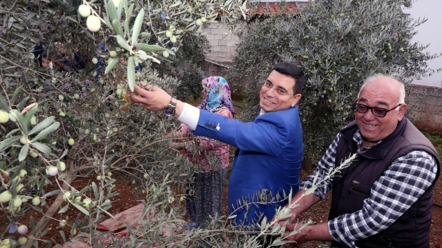 Kepez zeytine yatırım yapıyor