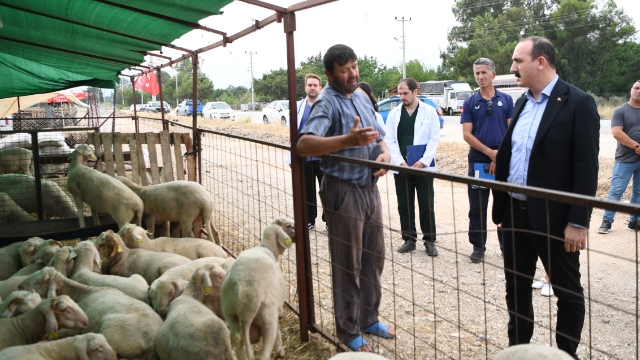 Kotan kurban satış yerinde