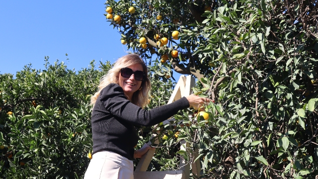 AGC’den Finike Çıkarması