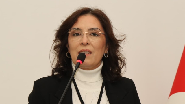 Mimarlar Odası’nın yeni başkanı Fatma Gül Yalçınkaya