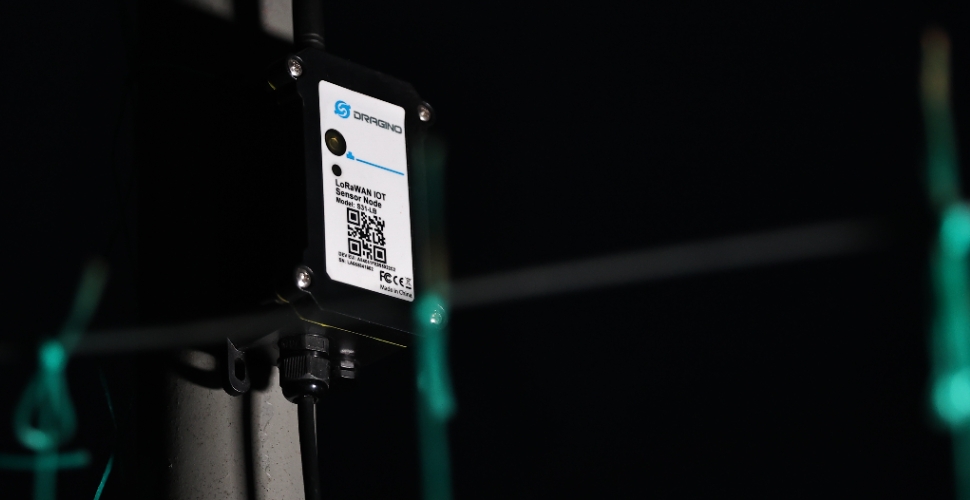 Sera üreticisinin don nöbeti tarih oldu