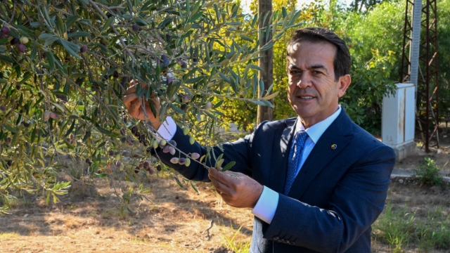 Zeytinyağı Kalite Yarışması İçin Son Gün 15 Ocak