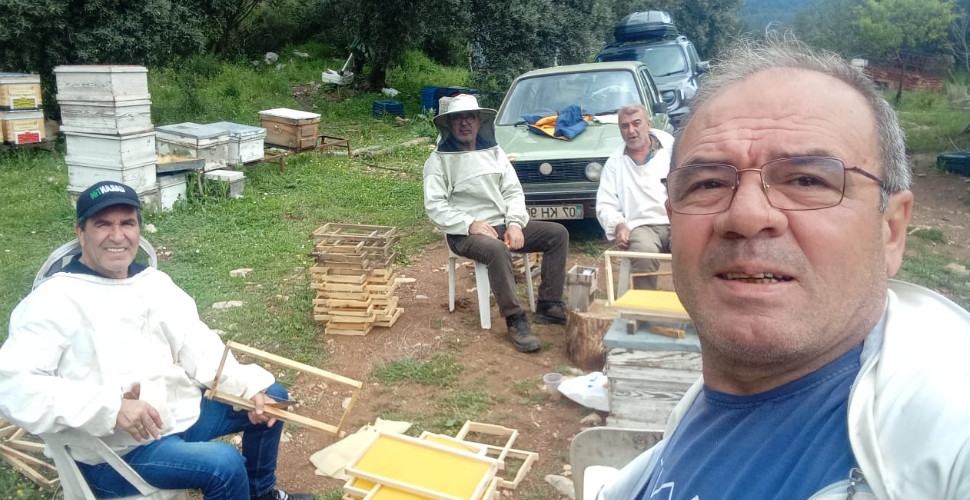 Arıcılar kan ağlıyor