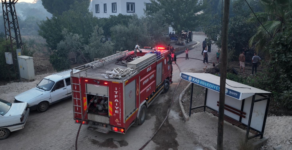 Büyükşehir ekiplerinden orman yangınına müdahale