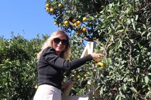 AGC’den Finike Çıkarması