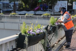 Antalya’da 4 milyon çiçek toprakla buluşuyor