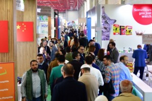 Telgraf Turizm fark yaratıyor