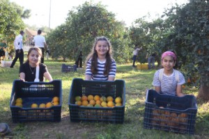 Vatandaşa portakal jesti