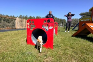 Duacı’da Pati Park hizmete açıldı