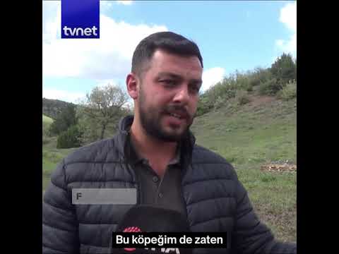 Kamyon kasasında sarkan köpeğin sahibi konuştu #gündem