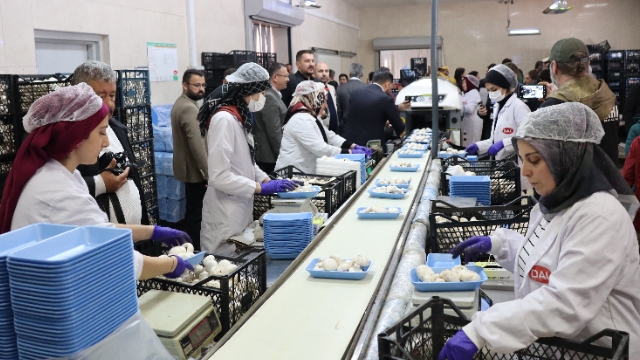 AGC üyeleri yerel değerlere sahip çıkıyor