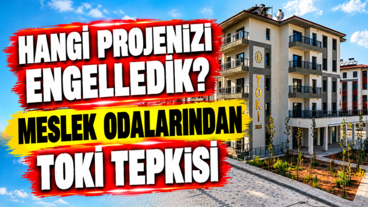“Meslek odaları hangi projeyi engelledi?”