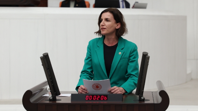 ‘Orman parkı değil rant parkı’